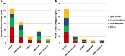 Gene Co-expression Network Reveals Potential New Genes Related to Sugarcane Bagasse <mark class="highlighted">Degradation</mark> in Trichoderma reesei RUT-30